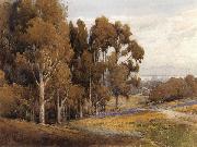 unknow artist A Grove of Eucalyptus in Spring oil painting reproduction